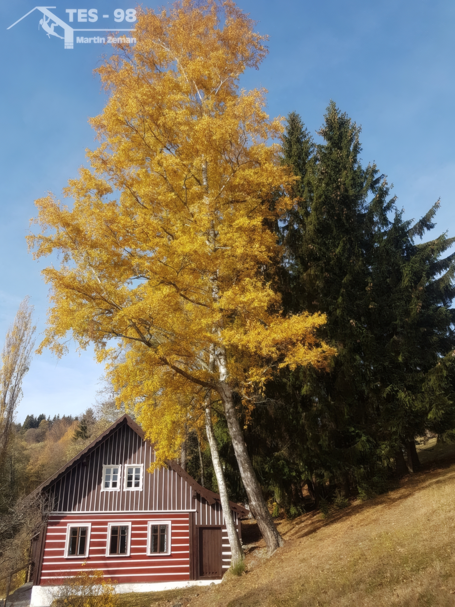 Rizikové kácení, Jilemnice